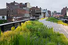 Graslandschaften in Chelsea