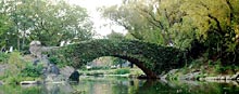 Der Central Park 