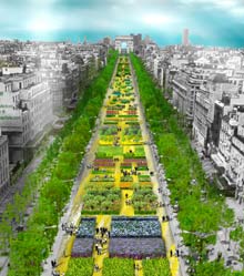 So soll die Champs &Eacute;lys&eacute;es aussehen