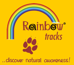 Rainbow Tracks Rainbow Tracks