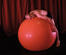K&uuml;nstler des Nouveau Cirque