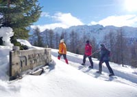 Abwechslungsreiche Touren ©Nationalpark Hohe Tauern Abwechslungsreiche Touren ©Nationalpark Hohe Tauern
