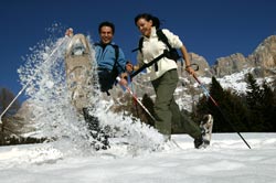 Gewinnspiel des Monats Dezember / Alpine Pearls Gewinnspiel des Monats Dezember / Alpine Pearls