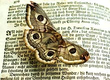 Literatur in Hamburg