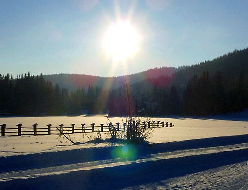 Sonnige Aussichten Loipe im Sonnenschein in der Ferienregion Lungau.