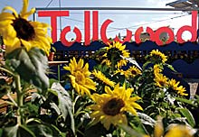Tollwood Sommerfestival