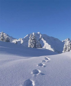 Planen Sie Ihren Skiurlaub mit Schneehoehen.de