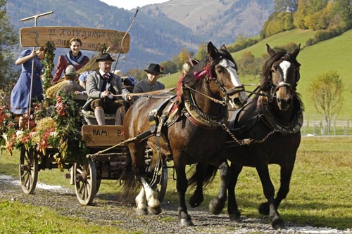 Beim Leonhardiritt wird dem Schutzpatron der landwirtschaftlichen Tiere gedacht. Beim Leonhardiritt wird dem Schutzpatron der landwirtschaftlichen Tiere gedacht.