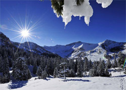 Free Ski, gratis Skipass