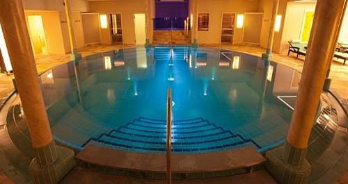 Wellness Wellness