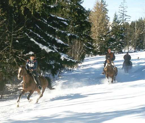 Reiten in Crans Montana Reiten in Crans Montana
