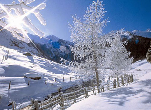 Im Zillertal ist der Winter zu Hause Im Zillertal ist der Winter zu Hause