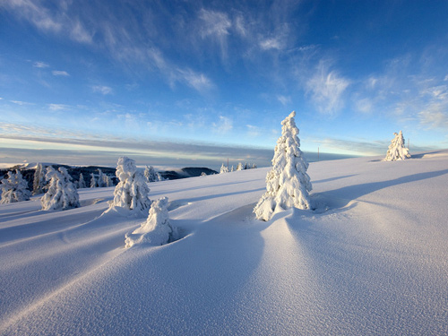 Traumhafte Winterlandschaft Traumhafte Winterlandschaft
