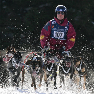 Das älteste Schlittenhunderennen Deutschlands Das älteste Schlittenhunderennen Deutschlands