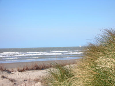 Thalasso - Heilbehandlung durch das Meer Thalasso - Heilbehandlung durch das Meer