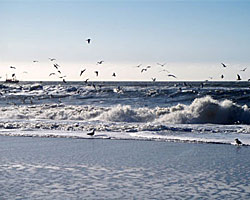 Heilkraft aus dem Meer Heilkraft aus dem Meer