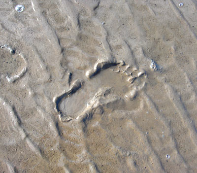 Spur im Meer Spur im Meer