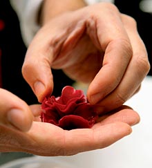 Eine Rose - aus Rote Beete!