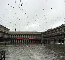Der Markusplatz unter Wasser