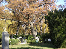 Urnenhain Zentralfriedhof