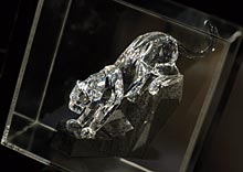 Eclectic Panther