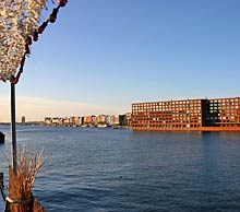 Blick auf die Insel Zeeburg