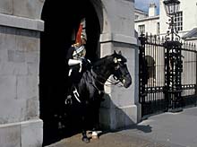 Horseguard vor Whitehall