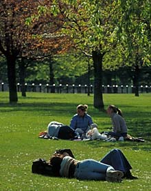 Wiese im Hyde Park