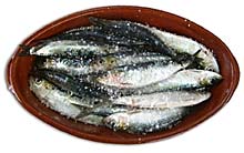 Fisch hat hier immer Saison