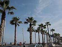 Barceloneta