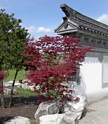 Chinesischer Garten