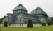 Palmenhaus Palmenhaus