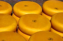 K&auml;se f&uuml;r jeden Geschmack