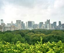Central Park