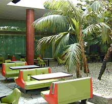 Wintergarten mit Palmen