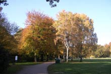 Hamburger Stadtpark im Herbst