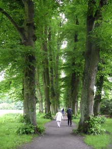 Hirschpark in Blankenese