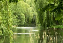 Weiher in Eimsb&uuml;ttel