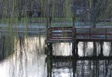 kleiner See ins Wandsbek