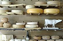 K&auml;seauslage in La Fromagerie