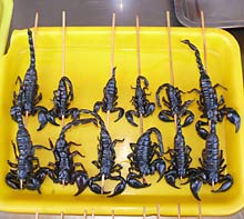 Skorpione sind ein beliebter Snack