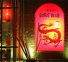 Lotus Blue