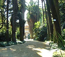 Palmenstrasse im Jardim Botanico