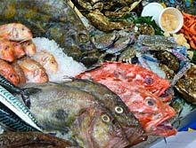 Frischfisch auf der 25 m langen Theke Frischfisch auf der 25 m langen Theke