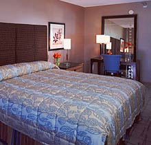 Park Avenue Deluxe Room