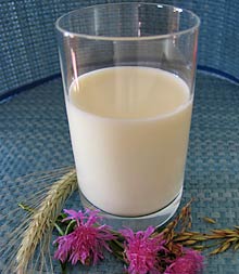 Viele Milchprodukte bei Mu-Mu