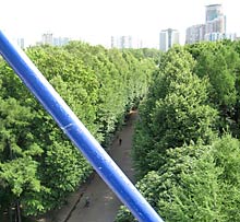 Blick auf den Sokolniki-Park