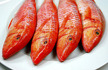 Fischspezialit&auml;ten gibt es im Bayt Al Wakeel / © wrw, pixelio.de