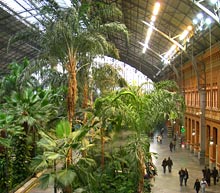 Palmengarten im Bahnhof Atocha