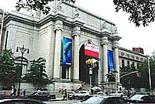 American Museum of Natural History